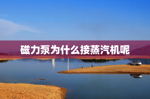 磁力泵為什么接蒸汽機(jī)呢