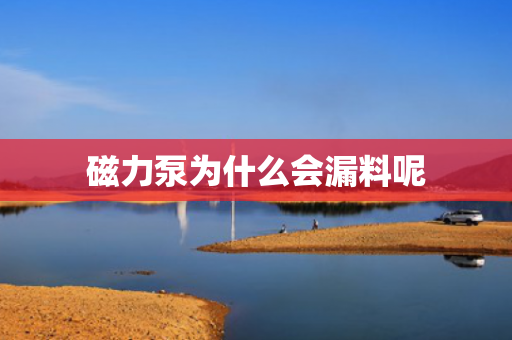 磁力泵為什么會(huì)漏料呢