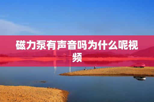 磁力泵有聲音嗎為什么呢視頻