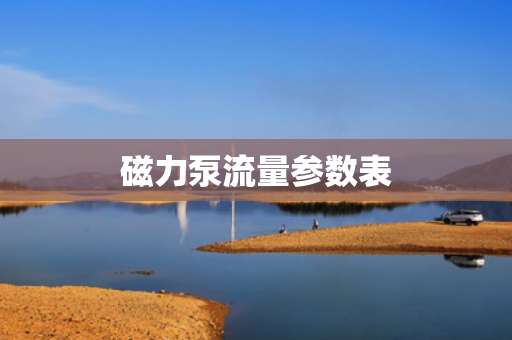 磁力泵流量參數(shù)表