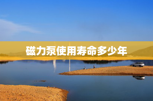 磁力泵使用壽命多少年