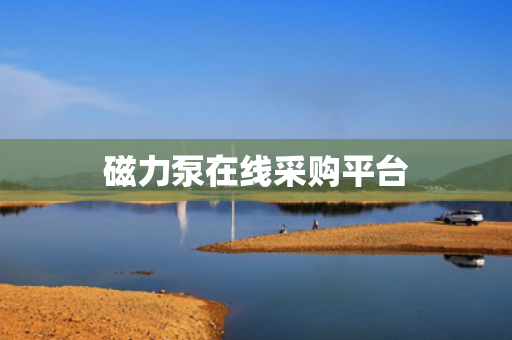 磁力泵在線(xiàn)采購(gòu)平臺(tái)