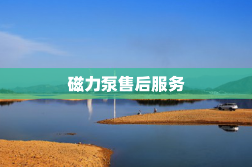 磁力泵售后服務(wù)