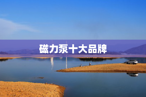 磁力泵十大品牌
