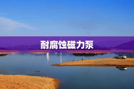 耐腐蝕磁力泵