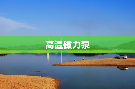高溫磁力泵