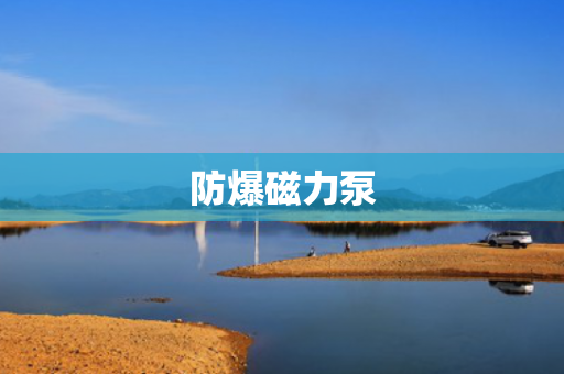 防爆磁力泵