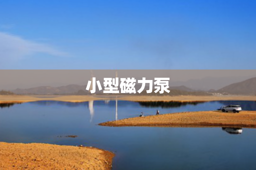 小型磁力泵