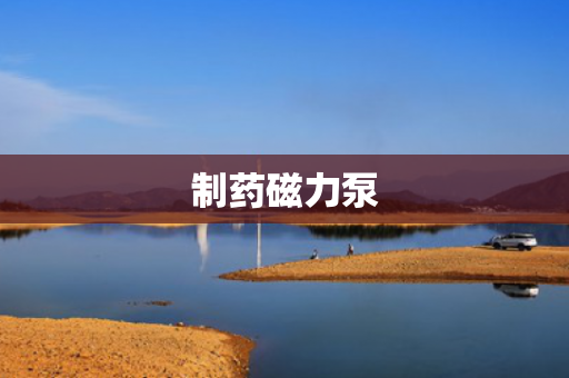制藥磁力泵