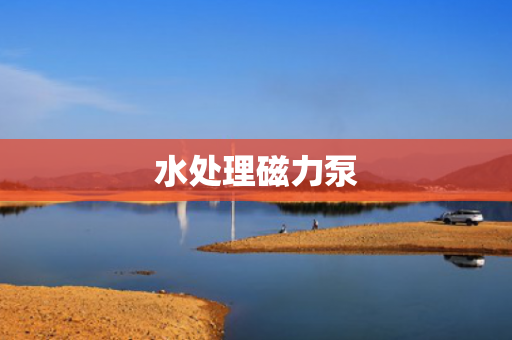 水處理磁力泵