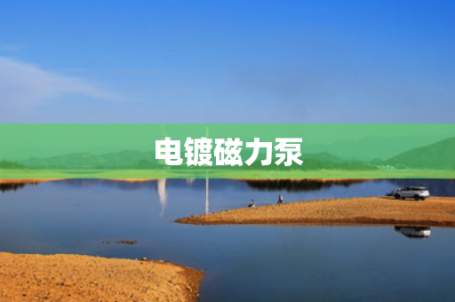 電鍍磁力泵