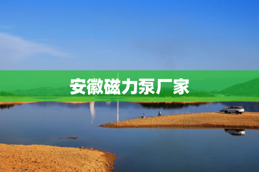 安徽磁力泵廠家