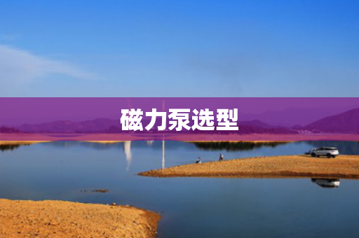 磁力泵選型