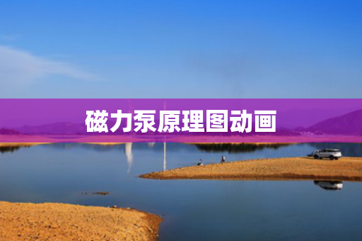 磁力泵原理圖動(dòng)畫(huà)