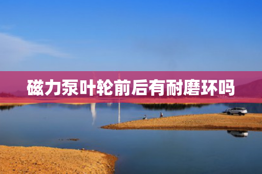 磁力泵葉輪前后有耐磨環(huán)嗎