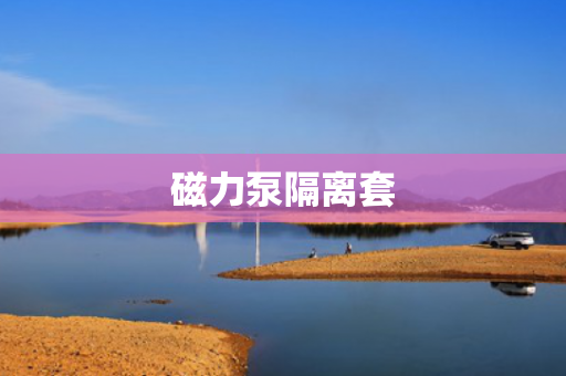 磁力泵隔離套