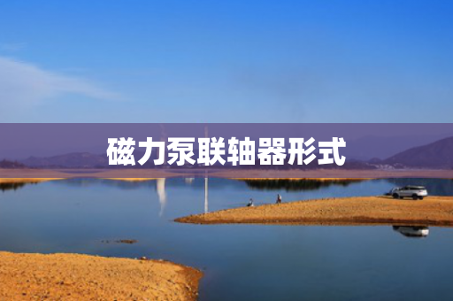 磁力泵聯(lián)軸器形式
