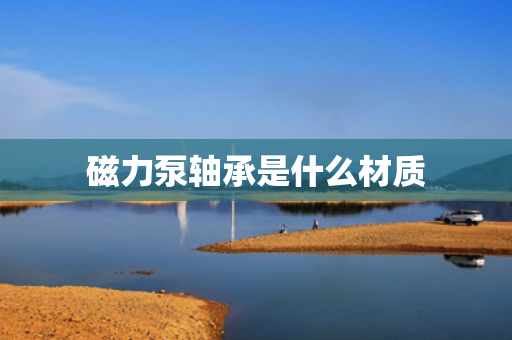 磁力泵軸承是什么材質(zhì)