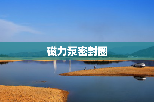 磁力泵密封圈