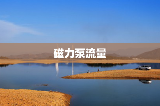 磁力泵流量