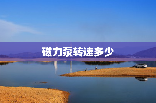 磁力泵轉(zhuǎn)速多少