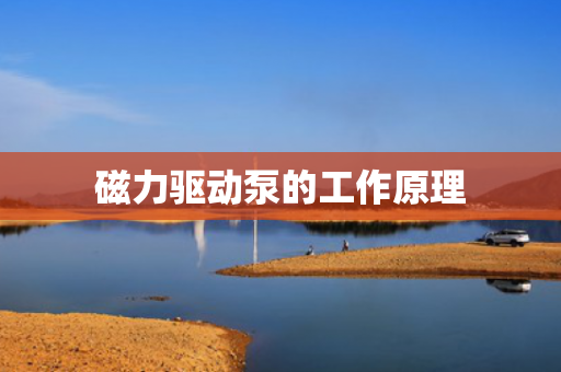 磁力驅(qū)動(dòng)泵的工作原理