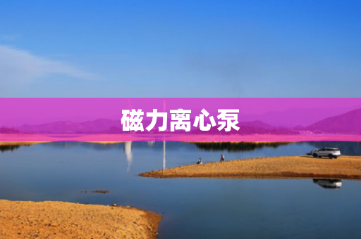 磁力離心泵