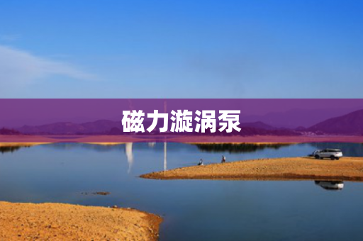 磁力漩渦泵