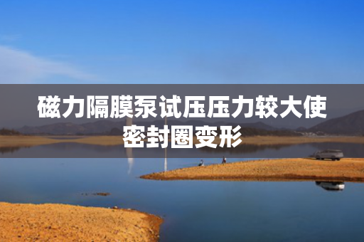 磁力隔膜泵試壓壓力較大使密封圈變形