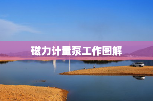 磁力計(jì)量泵工作圖解