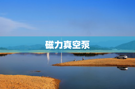 磁力真空泵