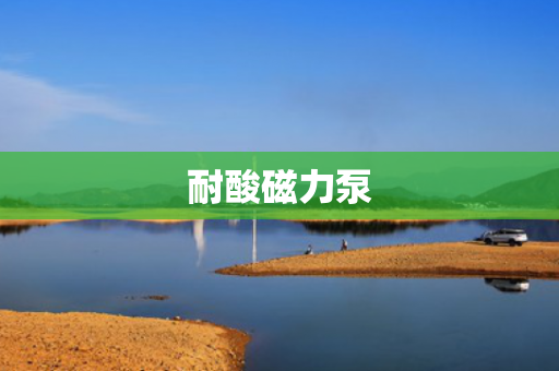 耐酸磁力泵