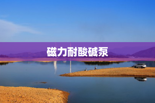 磁力耐酸堿泵