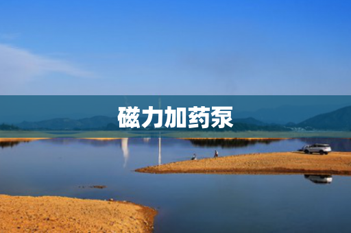 磁力加藥泵