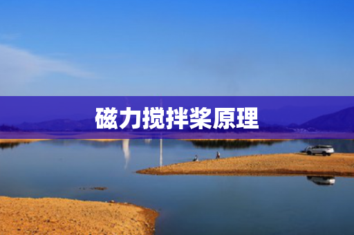 磁力攪拌槳原理