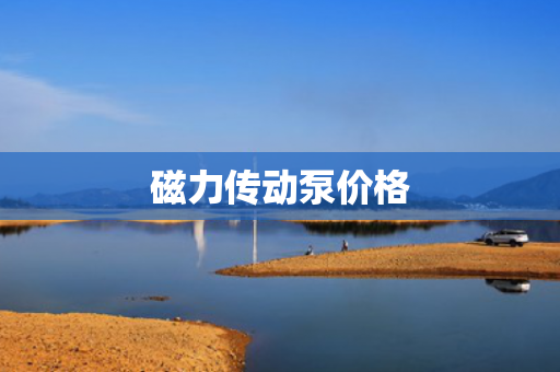 磁力傳動泵價格