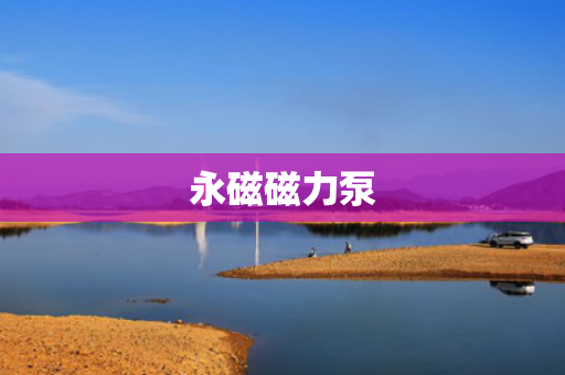 永磁磁力泵