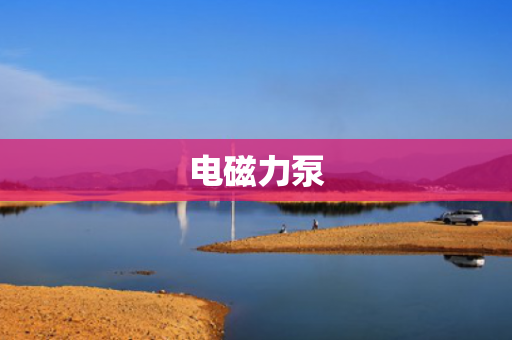 電磁力泵