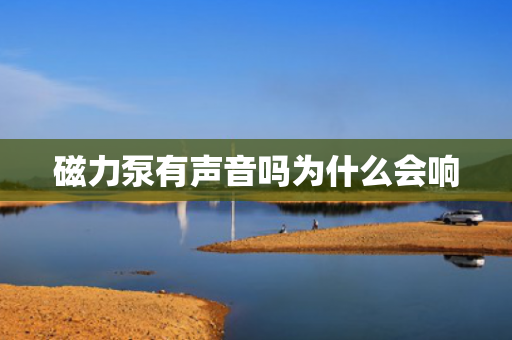 磁力泵有聲音嗎為什么會(huì)響