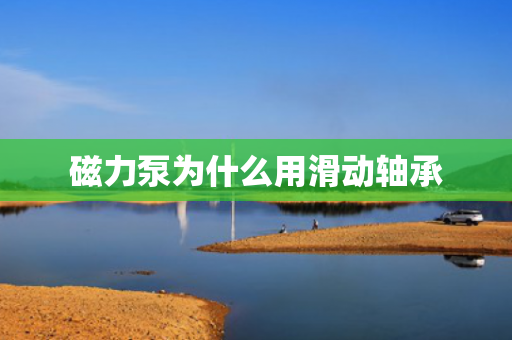 磁力泵為什么用滑動(dòng)軸承