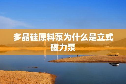 多晶硅原料泵為什么是立式磁力泵