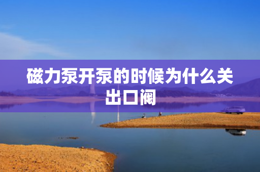 磁力泵開泵的時(shí)候?yàn)槭裁搓P(guān)出口閥