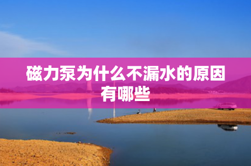 磁力泵為什么不漏水的原因有哪些