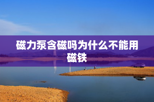 磁力泵含磁嗎為什么不能用磁鐵