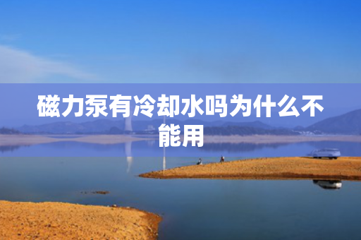 磁力泵有冷卻水嗎為什么不能用
