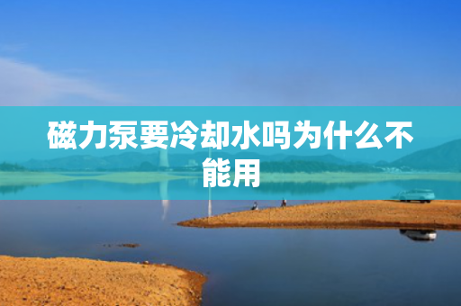 磁力泵要冷卻水嗎為什么不能用