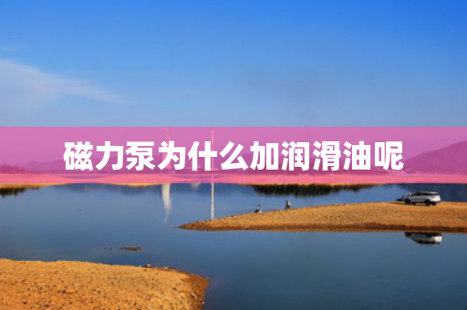 磁力泵為什么加潤滑油呢