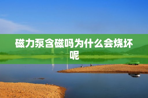 磁力泵含磁嗎為什么會燒壞呢