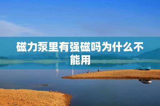 磁力泵里有強磁嗎為什么不能用