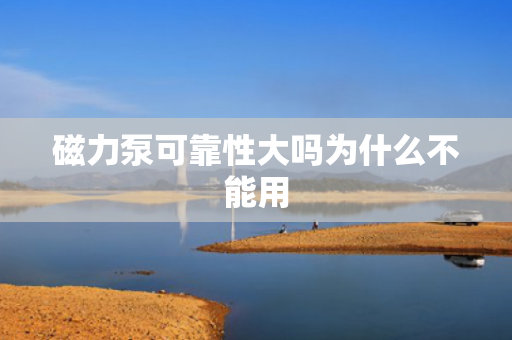 磁力泵可靠性大嗎為什么不能用